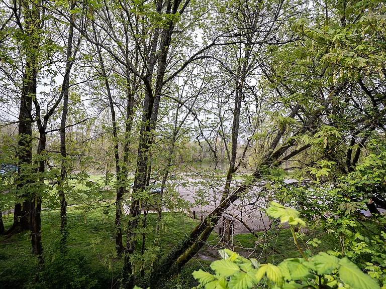 View of river from balcony