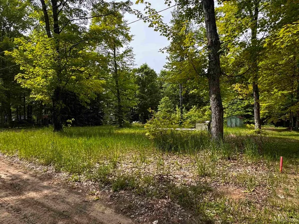 13542 E Campbell St, Shingleton, MI 49884