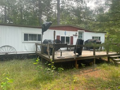 16928 Wildlife Trl, Wolverine, MI, 49799