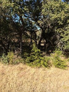 4246 Richmond Ave, Spring Branch, TX, 78070