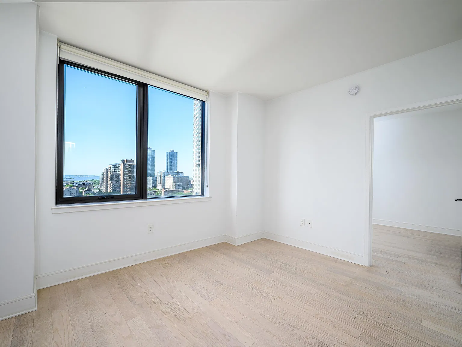 10 Provost St — Photo 2