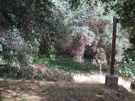 4th image of 1941 Waltonia Dr