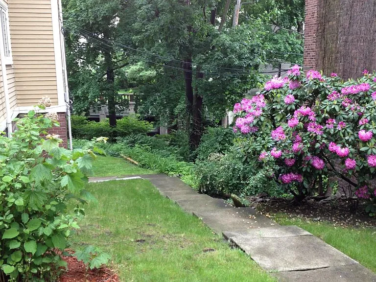 LUSH GARDENS