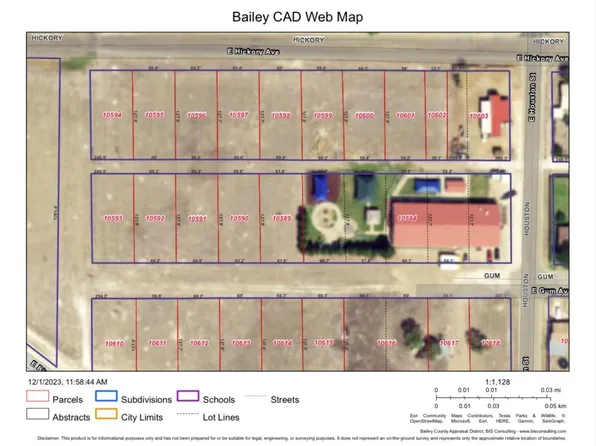 702 E Hickory Ave, Muleshoe, TX 79347
