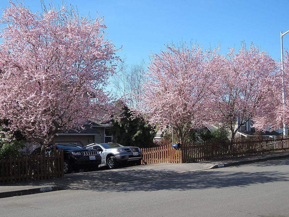 Street scene w/ driveway