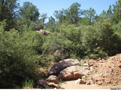 0 N Puma Dr, Kingman, AZ, 86401