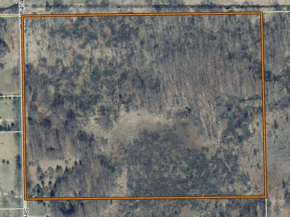 0 Struthers Rd, Grass Lake, MI 49240