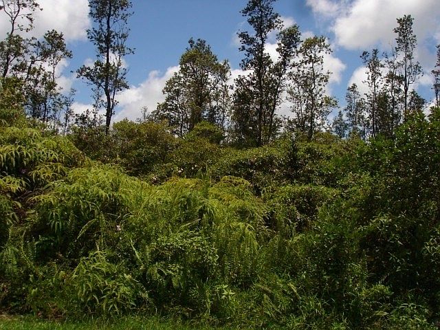 1st image of Lehua Dr Lot 64