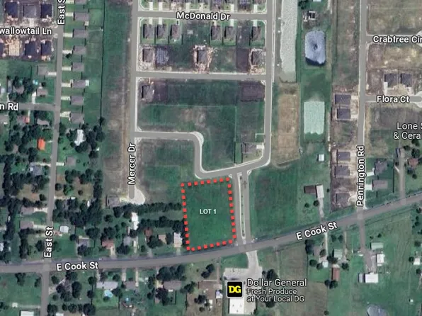 1 E Cook St, Nevada, TX 75173