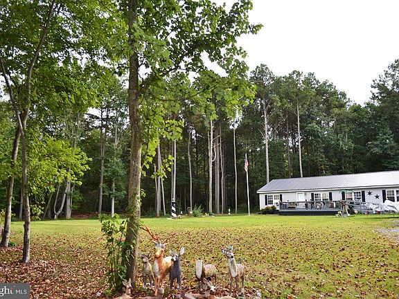 4th image of 81 Pritchett Rd