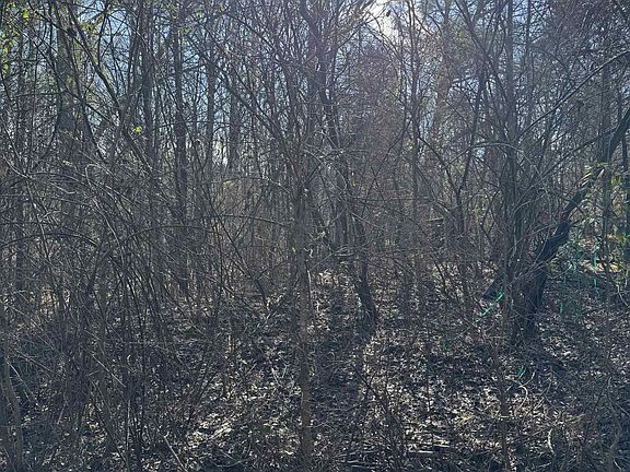 5th image of 0 Mazurek Cir