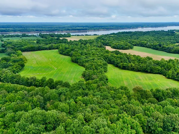 0 Gillahan Rd Lot 1B, Ledbetter, KY 42058