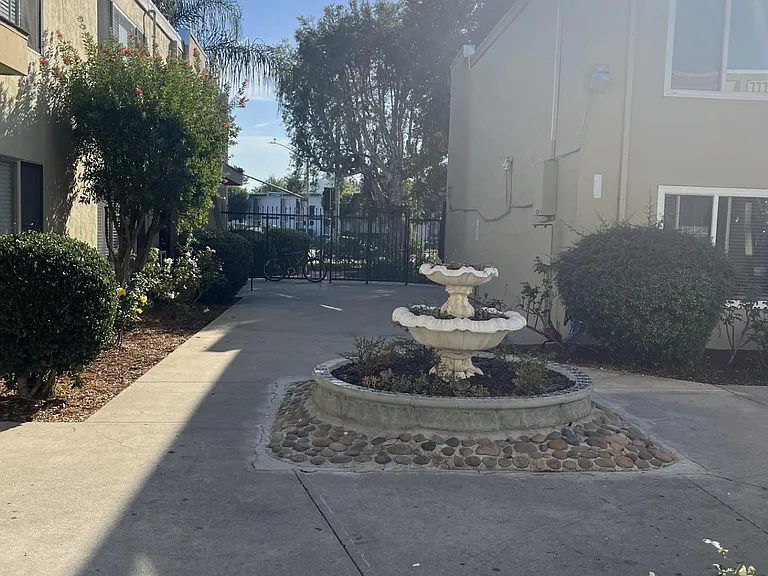 Evergreen — Photo 38