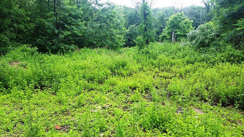 2nd image of 129 Lakeview Dr