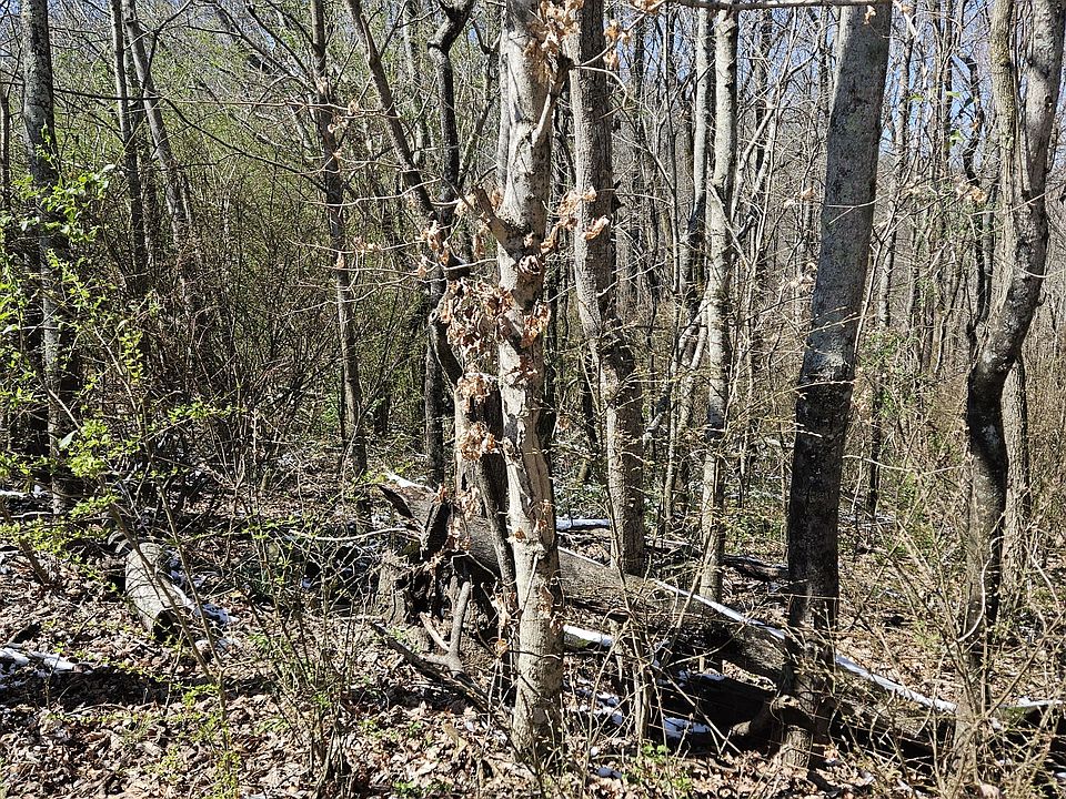 1st image of 0 Lake View Dr Lot 147
