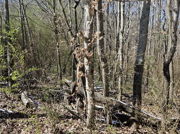 0 Lake View Dr Lot 147, Smithville, TN 37166