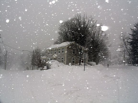 Winter Scene