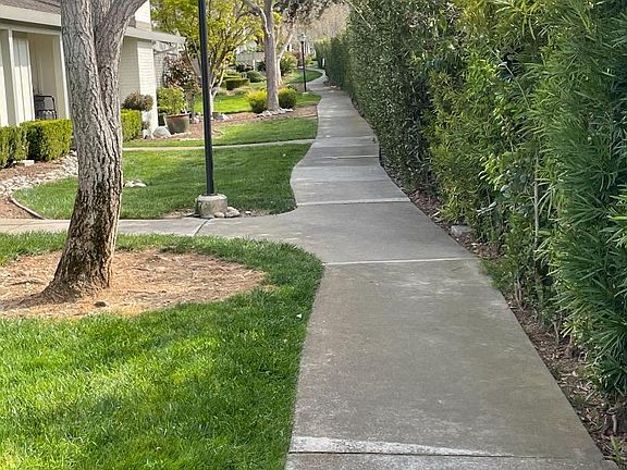 5th image of 5421 Cribari Ct
