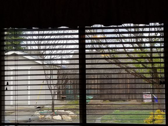 Back yard view from Master.