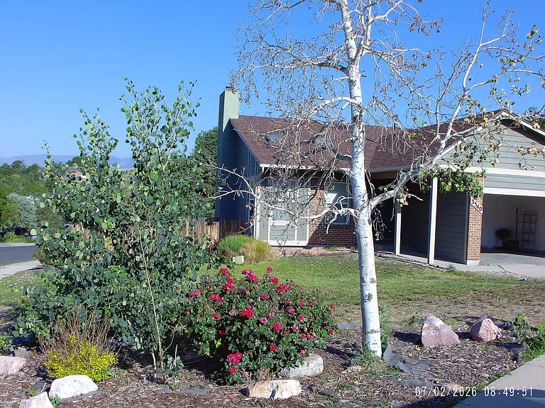 3540 Sedgewood Way — Photo 1