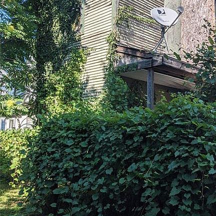 2nd image of 2219 Hollywood Ave