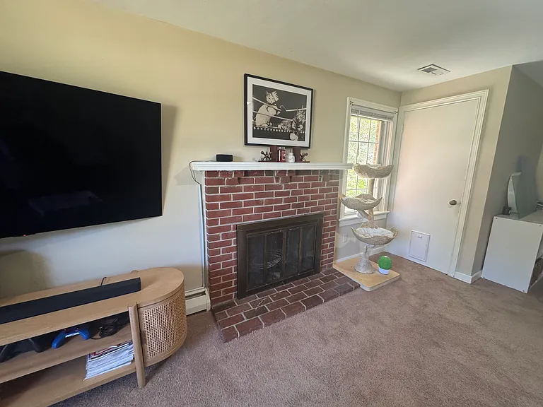 9501 Bonnie Dale Rd — Photo 7