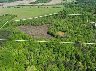 County Road 1143, Daingerfield, TX 75638