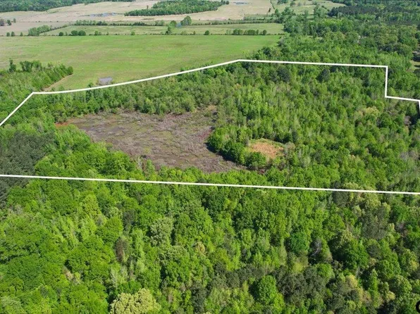 County Road 1143, Daingerfield, TX 75638