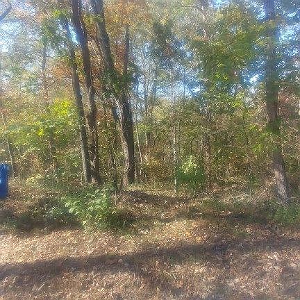 3rd image of 0 Cypress Dr Lot 81