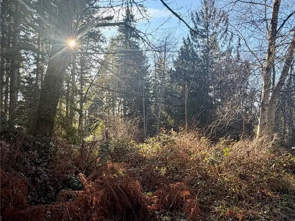 51 Fox Road, Quilcene, WA 98376