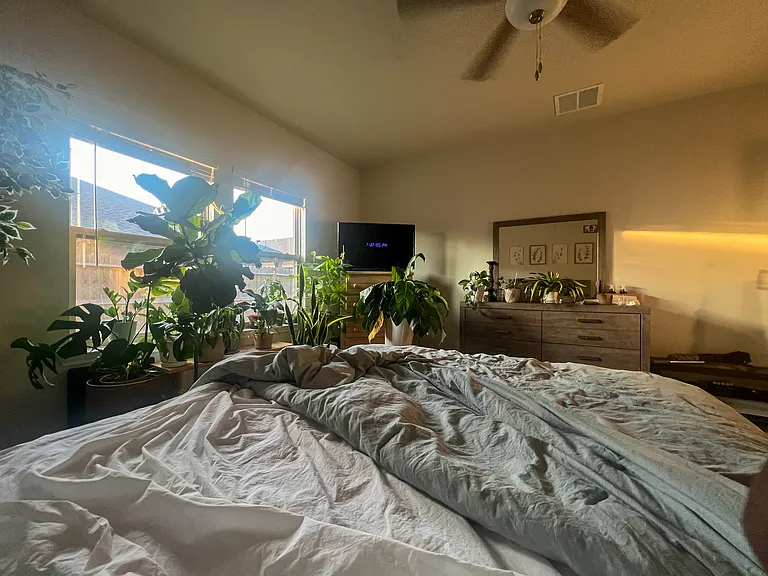 2337 Soothing St — Photo 8