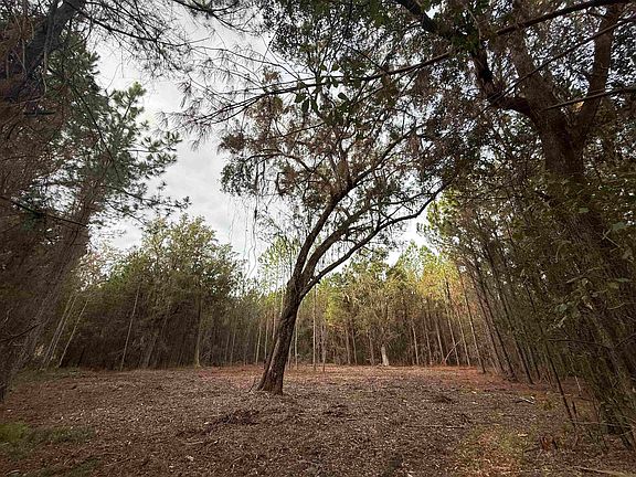 5th image of 2909 Shellman Bluff Rd N