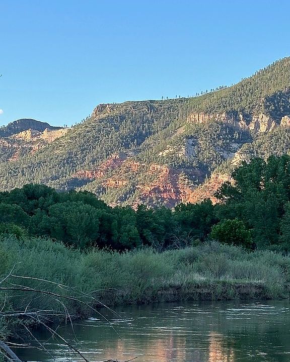 Oxbow Preserve