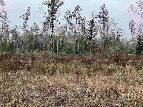 3rd image of 3855 Fm 420 Rd