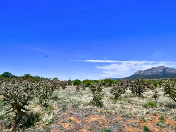 201 Entranosa Lot Rd #2, Edgewood, NM 87015