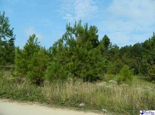 E Macree Ter, Florence, SC 29505