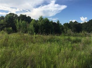 233 Carter Rd, Lithia, FL 33547