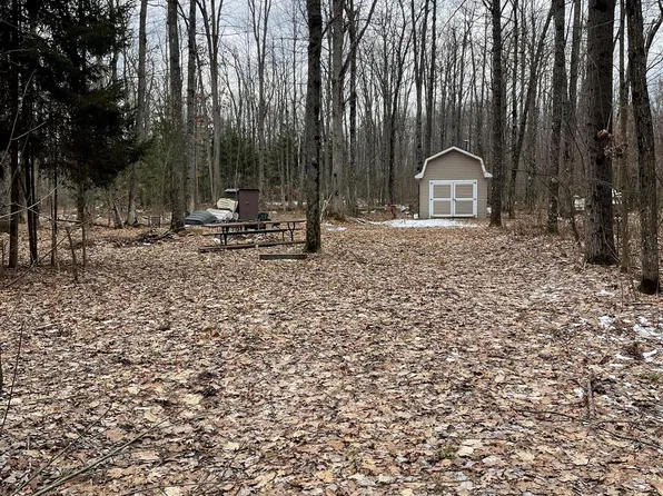 Lucinda Dr, Prescott, MI 48756