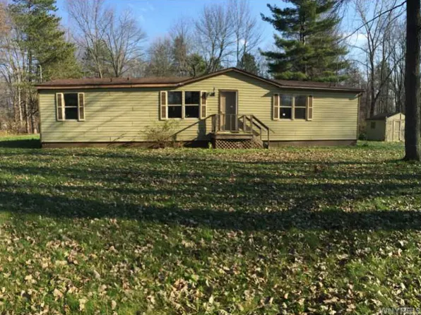 2705 Lyndonville Rd, Medina, NY 14103