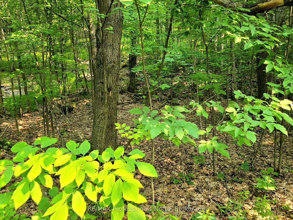 2nd image of 26 Mount Vernon Trl #19