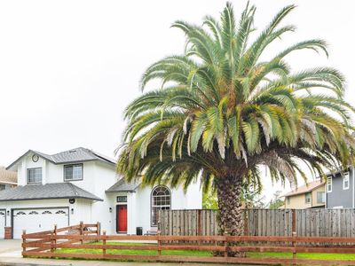 236 Belfiore Lane, Windsor, CA, 95492