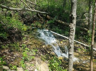 542 Camellia Ln, Dora, MO 65637