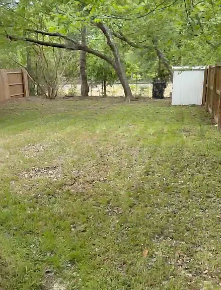 1015 Haynes St #1015 — Photo 12