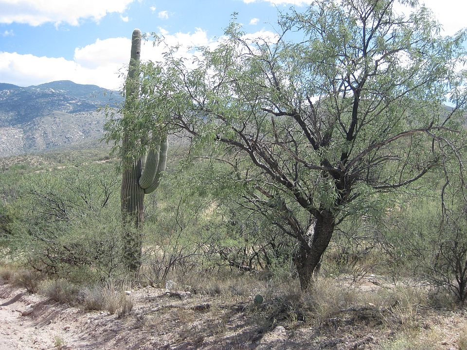 2nd image of 81 X9 Ranch Rd