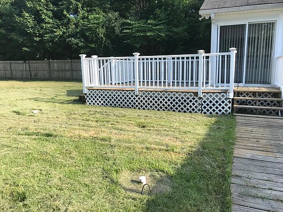 Backyard in July