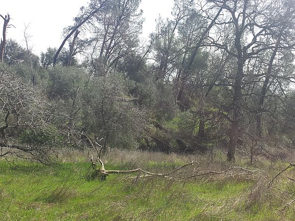 4th image of Wonderland Blvd. Bass Dr
