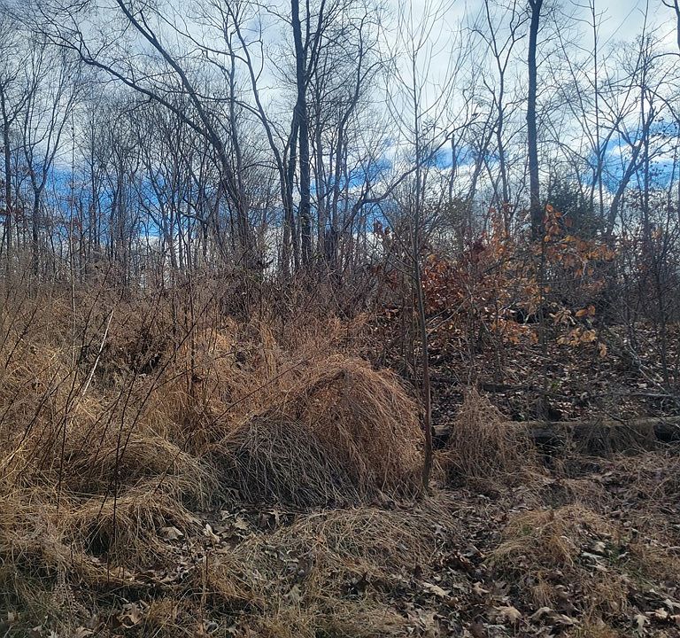 2nd image of 0 Tobaccoport Cir