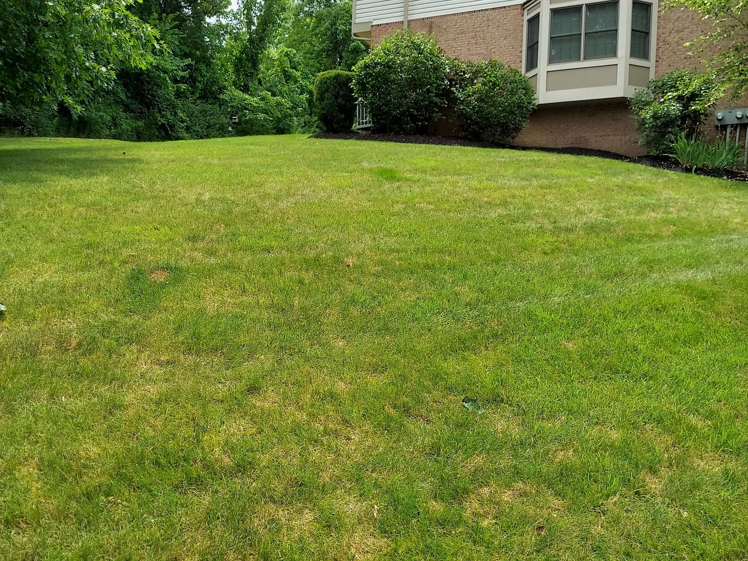 3 bed, 1833 sqft, $2,850 — Photo 4