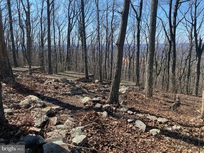 83 Bobcat Trl, Winchester, VA, 22602