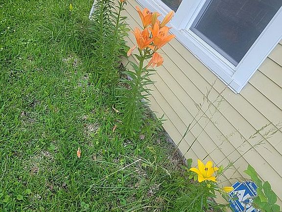 3rd image of 8776 Chaffee Rd